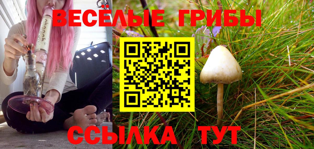 Галлюциногенные грибы мухоморы Пермь